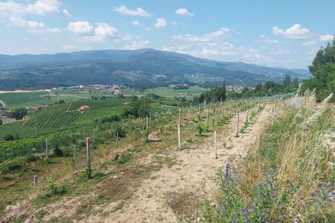 Helårsgrund i Ceivaes e Badim, Viana do Castelo, Ceivaes e Badim - € 18.000 | Ref: SF-SAFTI:005451 - foto 6