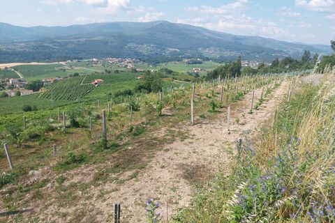 Helårsgrund i Ceivaes e Badim, Viana do Castelo, Ceivaes e Badim - € 18.000 | Ref: SF-SAFTI:005451 - foto 8