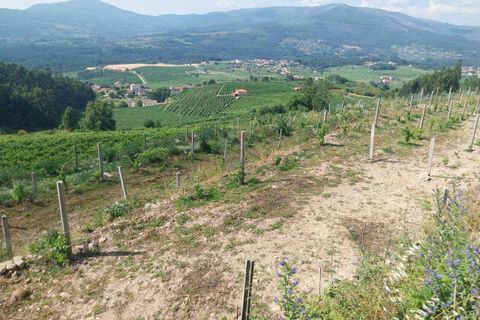 Helårsgrund i Ceivaes e Badim, Viana do Castelo, Ceivaes e Badim - € 18.000 | Ref: SF-SAFTI:005451 - foto 9