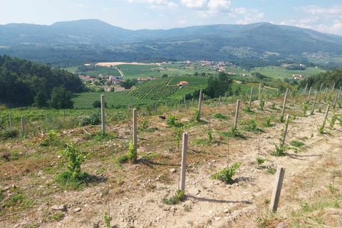 Helårsgrund i Ceivaes e Badim, Viana do Castelo, Ceivaes e Badim - € 18.000 | Ref: SF-SAFTI:005451 - foto 11