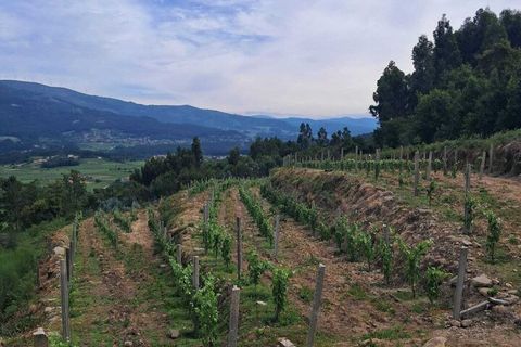 Helårsgrund i Ceivaes e Badim, Viana do Castelo, Ceivaes e Badim - € 18.000 | Ref: SF-SAFTI:005451 - foto 2