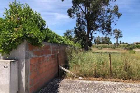Helårsgrund i Entroncamento, Santarem, Entroncamento - € 130.000 | Ref: SF-SAFTI:005197 - foto 5