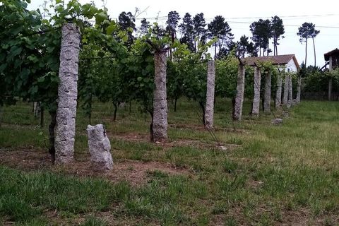 Farm i Moncao, Viana do Castelo, Moncao - € 130.000 | Ref: SF-SAFTI:003414 - foto 3