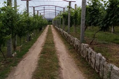 Farm i Moncao, Viana do Castelo, Moncao - € 130.000 | Ref: SF-SAFTI:003414 - foto 4