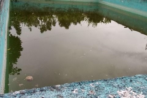 Farm i Moncao, Viana do Castelo, Moncao - € 130.000 | Ref: SF-SAFTI:003414 - foto 6
