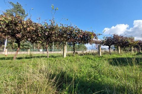 Helårsgrund i Moncao, Viana do Castelo, Moncao - € 50.000 | Ref: SF-SAFTI:004049 - foto 3