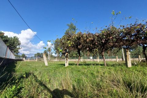 Helårsgrund i Moncao, Viana do Castelo, Moncao - € 50.000 | Ref: SF-SAFTI:004049 - foto 4