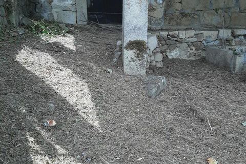 Villa i Melgaco, Viana do Castelo, Melgaco - € 65.000 | Ref: SF-SAFTI:002335 - foto 11