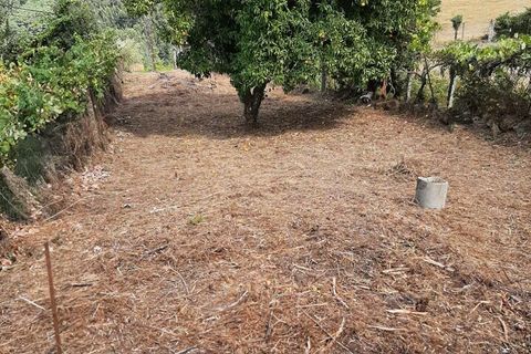 Villa i Melgaco, Viana do Castelo, Melgaco - € 65.000 | Ref: SF-SAFTI:002335 - foto 13