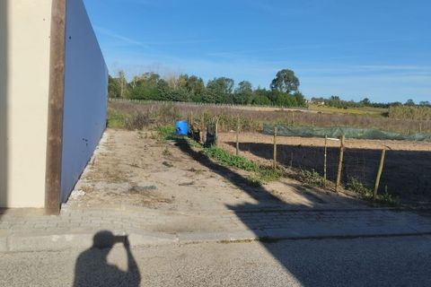 Helårsgrund i Alpiarca, Santarem, Alpiarca - € 50.000 | Ref: SF-SAFTI:005048 - foto 3