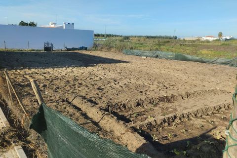 Helårsgrund i Alpiarca, Santarem, Alpiarca - € 50.000 | Ref: SF-SAFTI:005048 - foto 4