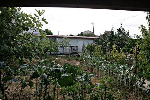 Villa i Soure, Coimbra, Soure - € 299.000 | Ref: SF-SAFTI:003852 - foto 7