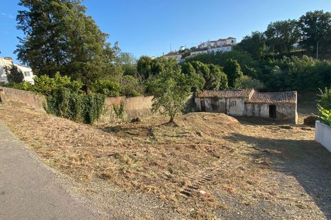 Helårsgrund i Torres Vedras, Lisbon, Torres Vedras - € 125.000 | Ref: SF-SAFTI:003815 - foto 13
