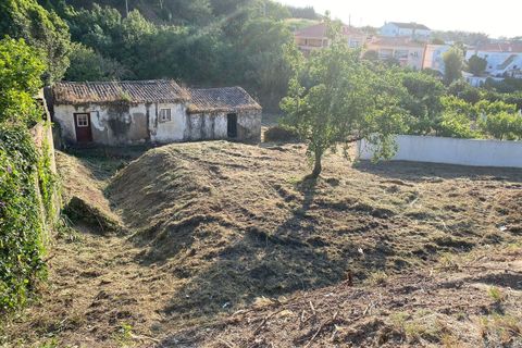Helårsgrund i Torres Vedras, Lisbon, Torres Vedras - € 125.000 | Ref: SF-SAFTI:003815 - foto 16