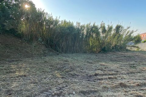 Helårsgrund i Torres Vedras, Lisbon, Torres Vedras - € 125.000 | Ref: SF-SAFTI:003815 - foto 17