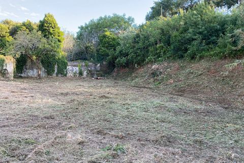 Helårsgrund i Torres Vedras, Lisbon, Torres Vedras - € 125.000 | Ref: SF-SAFTI:003815 - foto 18