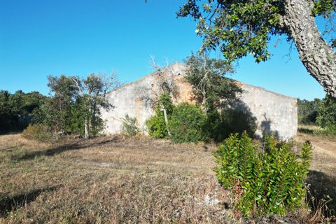 Terra a Bordeira, Faro, Bordeira - € 30.000.000 | Ref: SF-SAFTI:005322 - foto 5