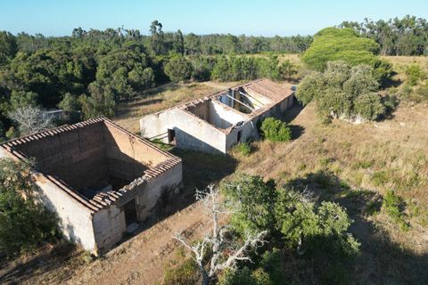 Terra a Bordeira, Faro, Bordeira - € 30.000.000 | Ref: SF-SAFTI:005322 - foto 7