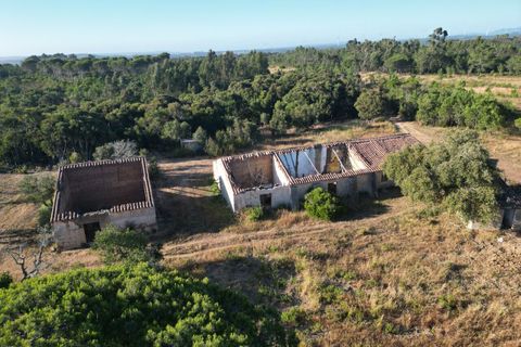 Terra a Bordeira, Faro, Bordeira - € 30.000.000 | Ref: SF-SAFTI:005322 - foto 8