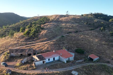Terra a Bordeira, Faro, Bordeira - € 30.000.000 | Ref: SF-SAFTI:005322 - foto 11