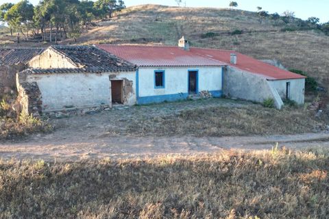 Terra a Bordeira, Faro, Bordeira - € 30.000.000 | Ref: SF-SAFTI:005322 - foto 14