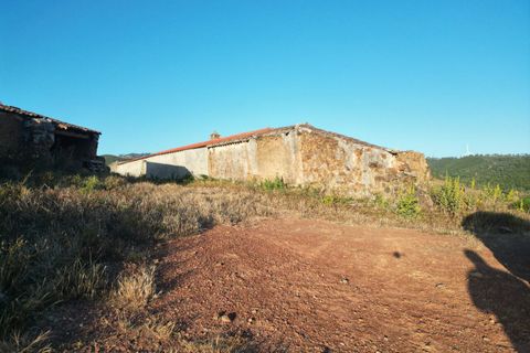 Terra a Bordeira, Faro, Bordeira - € 30.000.000 | Ref: SF-SAFTI:005322 - foto 17