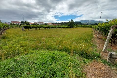 Helårsgrund i Moncao, Viana do Castelo, Moncao - € 90.000 | Ref: SF-SAFTI:003656 - foto 2