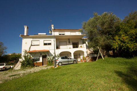 Farm i Alcobaca, Leiria, Alcobaca - € 3.600.000 | Ref: SF-SAFTI:001754 - foto 2