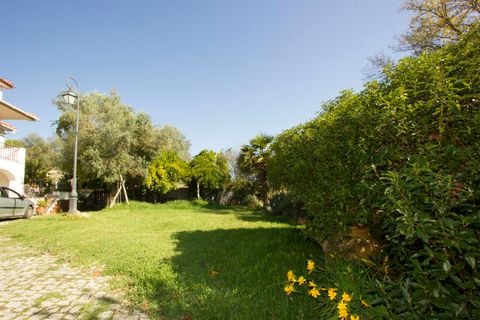 Farm i Alcobaca, Leiria, Alcobaca - € 3.600.000 | Ref: SF-SAFTI:001754 - foto 3