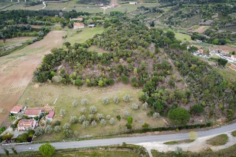 Farm i Alcobaca, Leiria, Alcobaca - € 3.600.000 | Ref: SF-SAFTI:001754 - foto 6