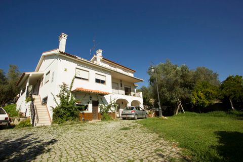 Farm i Alcobaca, Leiria, Alcobaca - € 3.600.000 | Ref: SF-SAFTI:001754 - foto 10