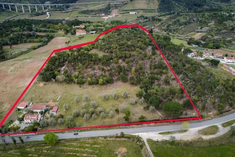 Farm i Alcobaca, Leiria, Alcobaca - € 3.600.000 | Ref: SF-SAFTI:001754 - foto 11