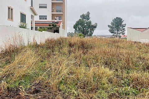 Helårsgrund i Entroncamento, Santarem, Entroncamento - € 56.000 | Ref: SF-SAFTI:005436 - foto 10