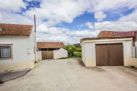 Villa i Parceiros e Azoia, Leiria, Parceiros e Azoia - € 300.000 | Ref: SF-SAFTI:005149 - foto 7