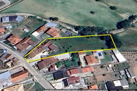 Villa i Parceiros e Azoia, Leiria, Parceiros e Azoia - € 300.000 | Ref: SF-SAFTI:005149 - foto 8