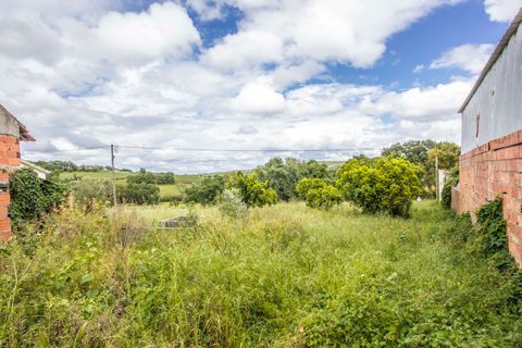 Villa i Parceiros e Azoia, Leiria, Parceiros e Azoia - € 300.000 | Ref: SF-SAFTI:005149 - foto 10