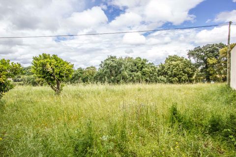 Villa i Parceiros e Azoia, Leiria, Parceiros e Azoia - € 300.000 | Ref: SF-SAFTI:005149 - foto 12