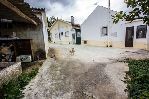 Villa i Parceiros e Azoia, Leiria, Parceiros e Azoia - € 300.000 | Ref: SF-SAFTI:005149 - foto 14