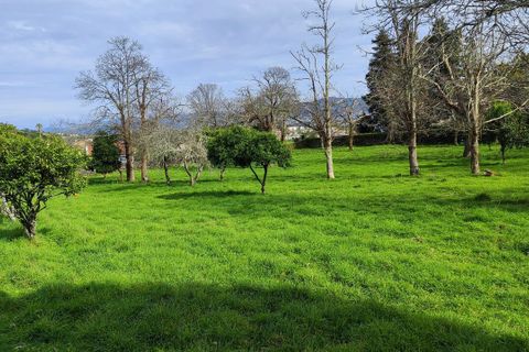 Villa i Viana do Castelo, Viana do Castelo, Viana do Castelo - € 850.000 | Ref: SF-SAFTI:007268 - foto 15