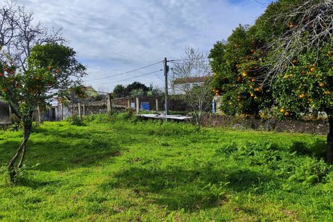 Villa i Viana do Castelo, Viana do Castelo, Viana do Castelo - € 850.000 | Ref: SF-SAFTI:007268 - foto 12
