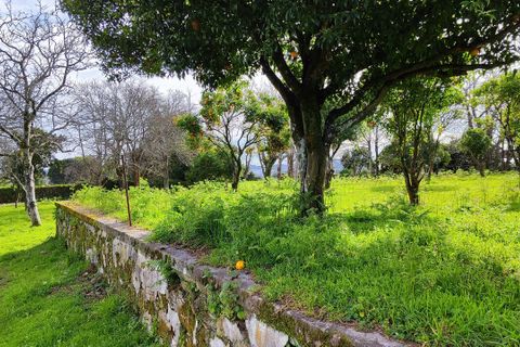 Villa i Viana do Castelo, Viana do Castelo, Viana do Castelo - € 850.000 | Ref: SF-SAFTI:007268 - foto 11