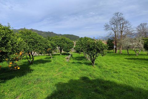 Villa i Viana do Castelo, Viana do Castelo, Viana do Castelo - € 850.000 | Ref: SF-SAFTI:007268 - foto 17
