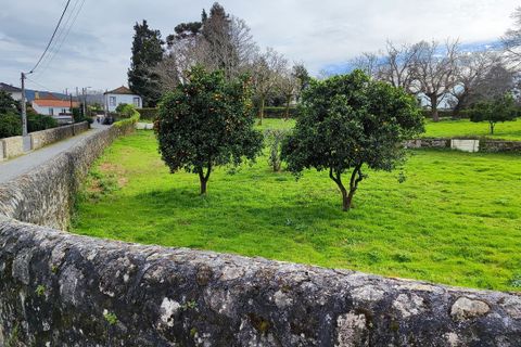 Villa i Viana do Castelo, Viana do Castelo, Viana do Castelo - € 850.000 | Ref: SF-SAFTI:007268 - foto 5