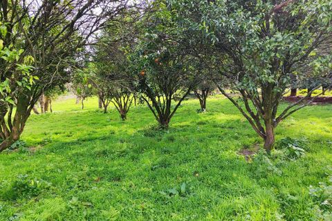 Villa i Viana do Castelo, Viana do Castelo, Viana do Castelo - € 850.000 | Ref: SF-SAFTI:007268 - foto 19