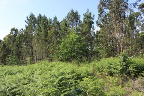 Helårsgrund i Moncao, Viana do Castelo, Moncao - € 535.000 | Ref: SF-SAFTI:003340 - foto 3