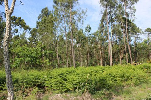 Helårsgrund i Moncao, Viana do Castelo, Moncao - € 535.000 | Ref: SF-SAFTI:003340 - foto 4
