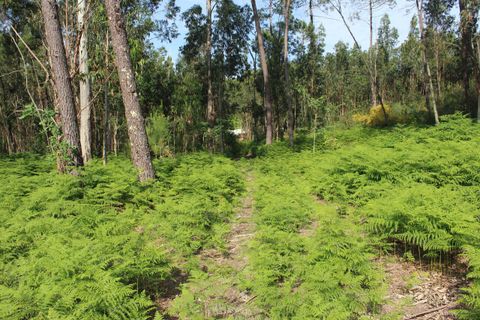 Helårsgrund i Moncao, Viana do Castelo, Moncao - € 535.000 | Ref: SF-SAFTI:003340 - foto 5