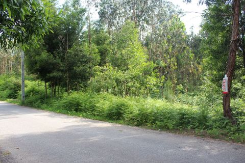 Helårsgrund i Moncao, Viana do Castelo, Moncao - € 70.000 | Ref: SF-SAFTI:003337 - foto 3