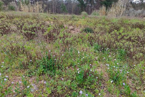 Helårsgrund i Maxial e Monte Redondo, Lisbon, Maxial e Monte Redondo - € 55.000 | Ref: SF-SAFTI:003543 - foto 2