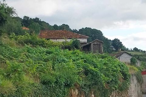 Villa i Moncao, Viana do Castelo, Moncao - € 75.000 | Ref: SF-SAFTI:003730 - foto 12